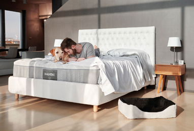 Bedroom Mattresses